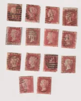 QV 1d REDS X 14 PERFS 